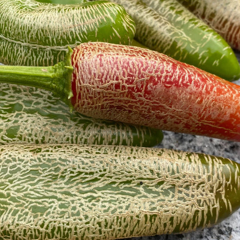 Farmer's Jalapeño